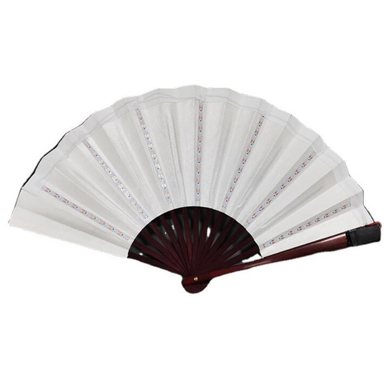 Party LED fan